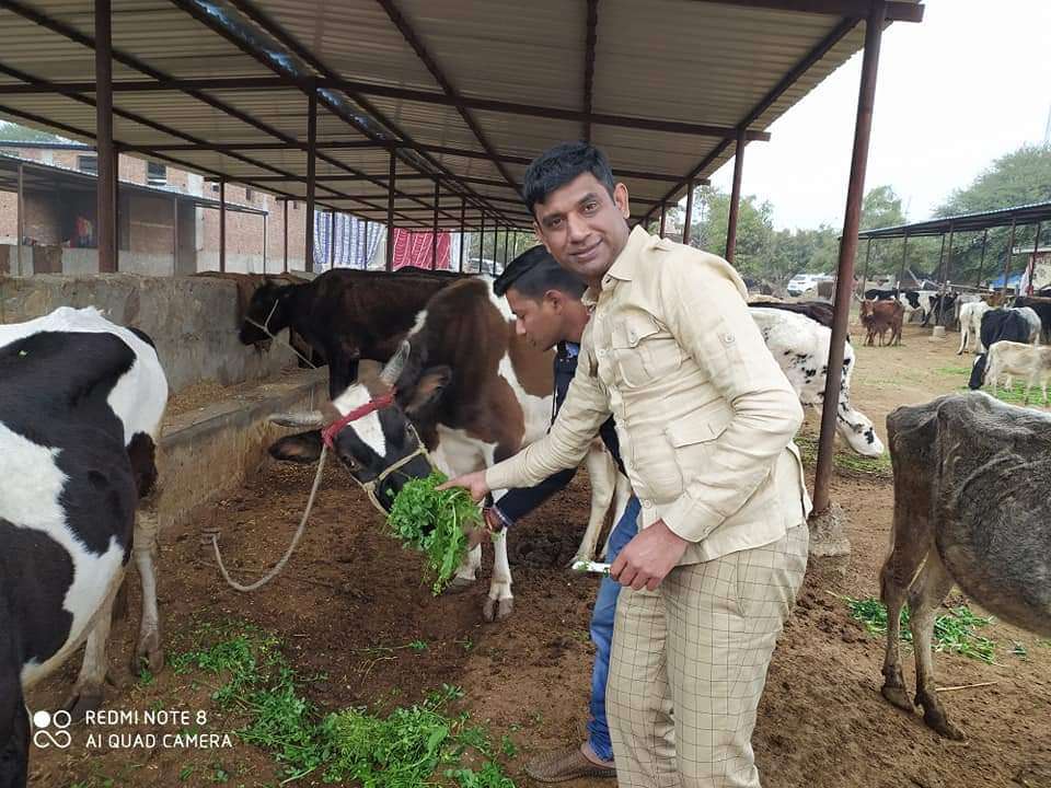 Pragya Institute @ Gaushala @ 5000 Bunch of Feeds